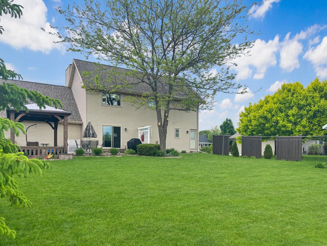 back yard
